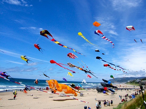 Summer Kite Festival